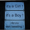 Geboorte Tutfles opblaasbaar 5 mtr