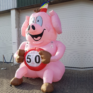 Feestvarken 3 mtr Alle leeftijden beschikbaar